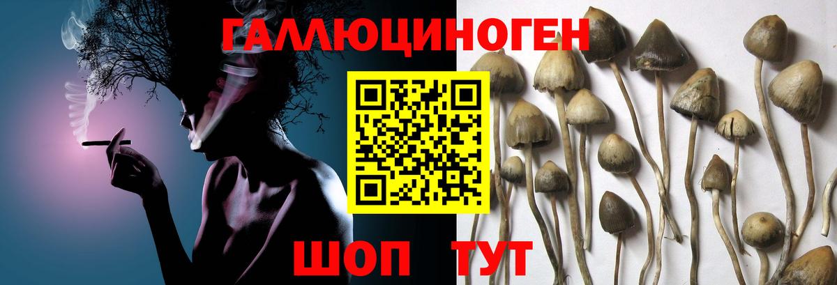 Галлюциногенные грибы мицелий Россошь